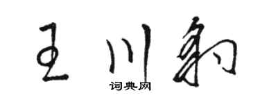 骆恒光王川豹草书个性签名怎么写