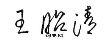 骆恒光王昭清草书个性签名怎么写