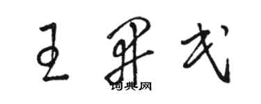 骆恒光王开民草书个性签名怎么写