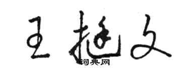 骆恒光王挺文草书个性签名怎么写