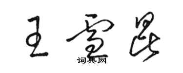 骆恒光王雪昆草书个性签名怎么写
