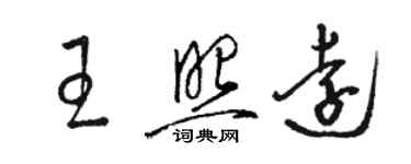 骆恒光王照远草书个性签名怎么写