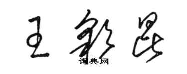 骆恒光王彩昆草书个性签名怎么写