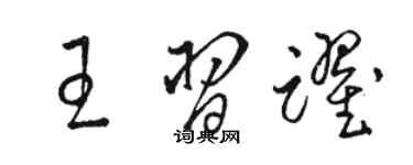 骆恒光王习跃草书个性签名怎么写
