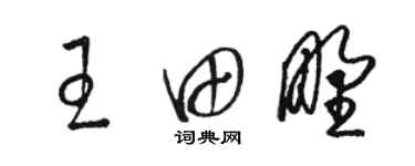 骆恒光王田野草书个性签名怎么写