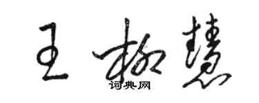 骆恒光王柳慧草书个性签名怎么写