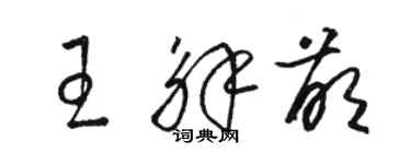 骆恒光王解萌草书个性签名怎么写