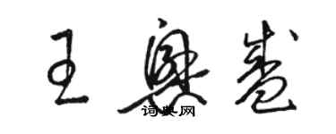 骆恒光王兴盛草书个性签名怎么写