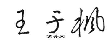 骆恒光王于枫草书个性签名怎么写