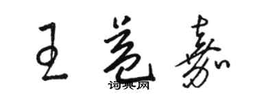 骆恒光王益嘉草书个性签名怎么写