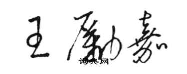 骆恒光王励嘉草书个性签名怎么写
