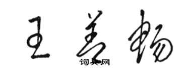 骆恒光王善畅草书个性签名怎么写