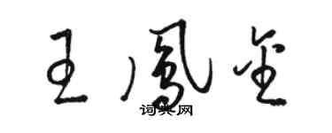 骆恒光王凤金草书个性签名怎么写