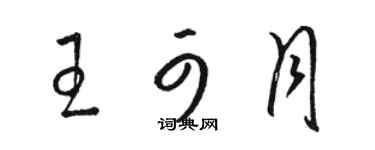 骆恒光王可月草书个性签名怎么写