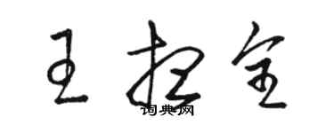 骆恒光王想全草书个性签名怎么写
