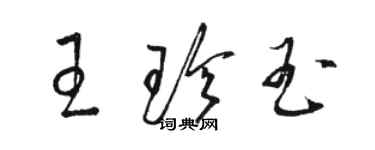 骆恒光王珍玉草书个性签名怎么写