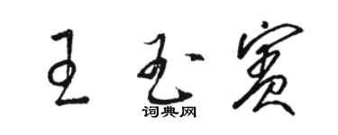 骆恒光王玉宾草书个性签名怎么写