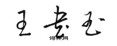骆恒光王书玉草书个性签名怎么写