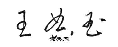 骆恒光王典玉草书个性签名怎么写