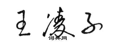 骆恒光王凌子草书个性签名怎么写