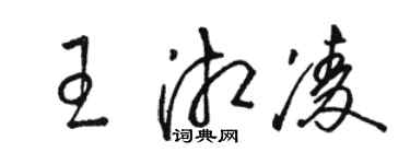 骆恒光王湘凌草书个性签名怎么写