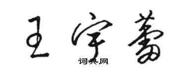 骆恒光王宇蕾草书个性签名怎么写