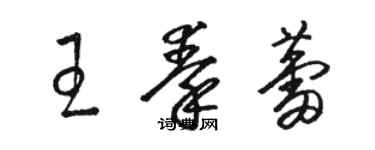 骆恒光王秦蕾草书个性签名怎么写