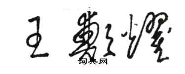 骆恒光王郑耀草书个性签名怎么写