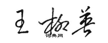 骆恒光王柳英草书个性签名怎么写