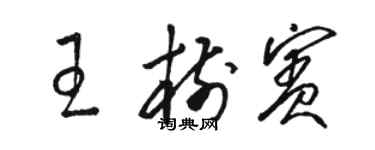 骆恒光王树宾草书个性签名怎么写