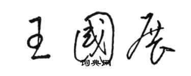 骆恒光王国展草书个性签名怎么写