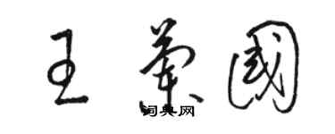 骆恒光王兰国草书个性签名怎么写