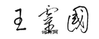 骆恒光王灵国草书个性签名怎么写