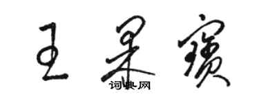 骆恒光王果宝草书个性签名怎么写