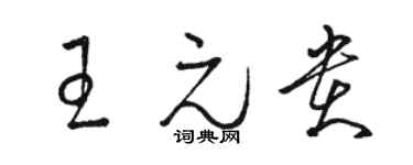骆恒光王元贵草书个性签名怎么写
