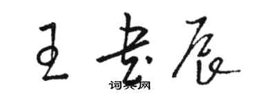 骆恒光王书辰草书个性签名怎么写