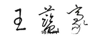 骆恒光王蓝豪草书个性签名怎么写
