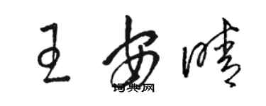 骆恒光王安晴草书个性签名怎么写