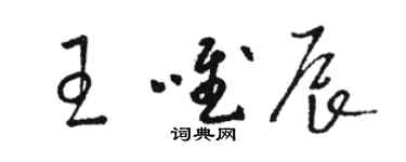 骆恒光王唯辰草书个性签名怎么写