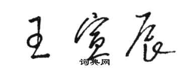 骆恒光王宣辰草书个性签名怎么写