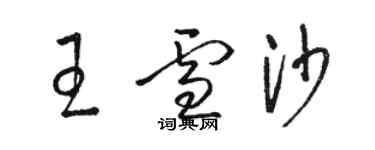 骆恒光王雪沙草书个性签名怎么写