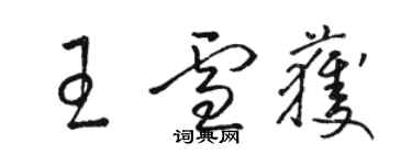 骆恒光王雪获草书个性签名怎么写