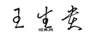 骆恒光王生贵草书个性签名怎么写