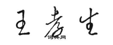 骆恒光王孝生草书个性签名怎么写
