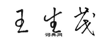 骆恒光王生茂草书个性签名怎么写