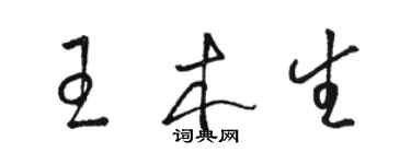 骆恒光王木生草书个性签名怎么写