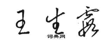 骆恒光王生霞草书个性签名怎么写