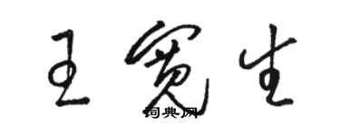 骆恒光王宽生草书个性签名怎么写