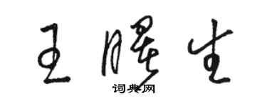 骆恒光王曙生草书个性签名怎么写