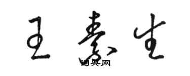 骆恒光王素生草书个性签名怎么写